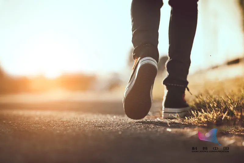 饭后百步走,究竟是能活到九十九还是胃下垂?今天终于有答案了