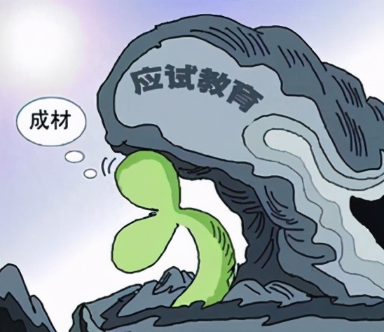 教育,请让子弹飞一会