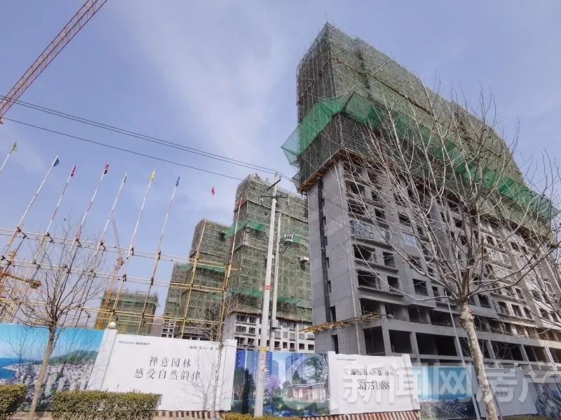 实探市区楼市:一季度这里涨了!首期10万/浮山后小户型你买账吗
