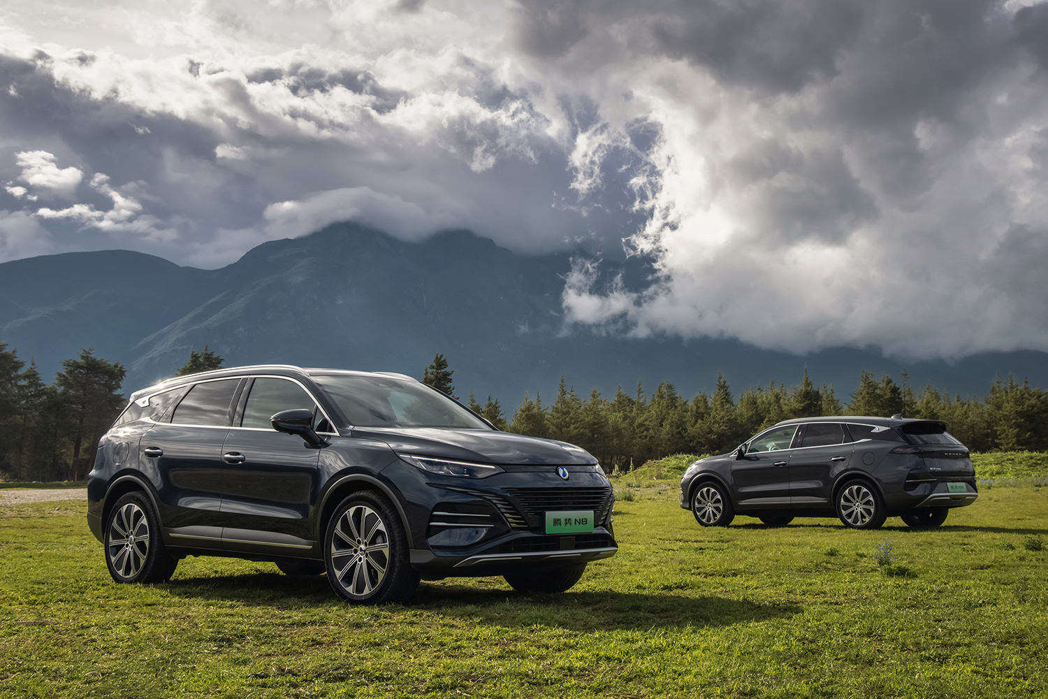 智能豪华全场景SUV腾势N8即将上市，定位30-35万级SUV